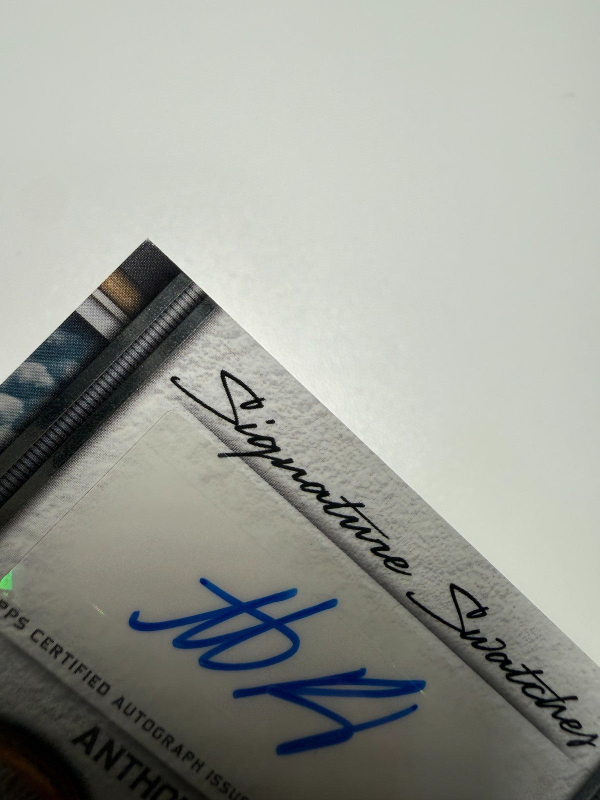 Anthony Rizzo 2023 Topps Museum Signature Swatches Dual Relic Auto /99