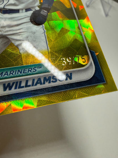 Ben Williamson 2024 Bowman Chrome 1st Saphhire Yellow Refractor /75 #BCP-67